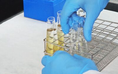 Nace “Elastika by Avanzare”: Una unidad de I+D exclusiva para el mundo del caucho