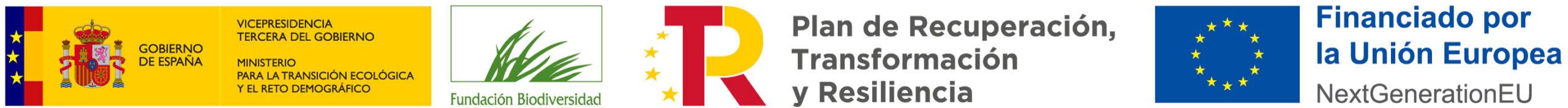 VICE3+MITECO+FB+PRTR+NEXT_Bandera_Color horizon europe